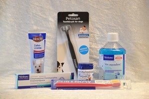 Forskellige tandplejeprodukter til hund og kat