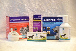 Adaptil, kalm og feliway - beroligende produkter til kæledyr